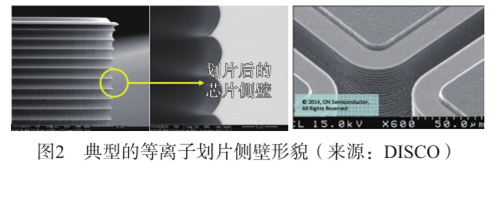 圖2  典型的等離子劃片側壁形貌（來源:DISCo)